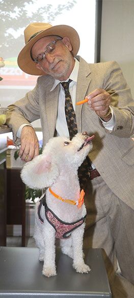 David Rotfleisch and Enchantee